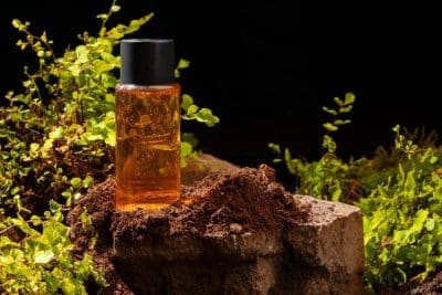 Mejores perfumes amaderados para hombres: tendencias y selección