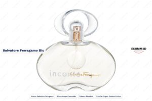 Salvatore Ferragamo blu