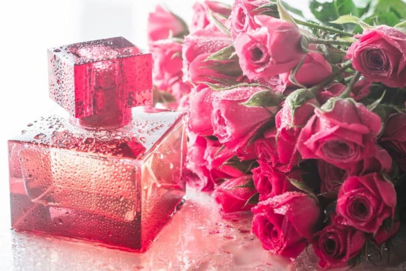 clásicos y modernos que destacan por su elegancia