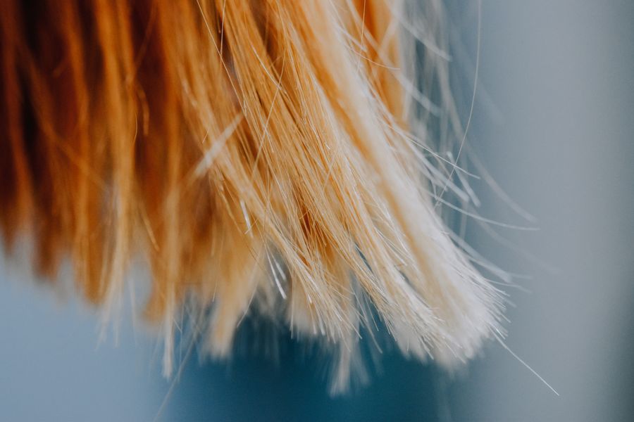 Puntas abiertas en cabello rubio